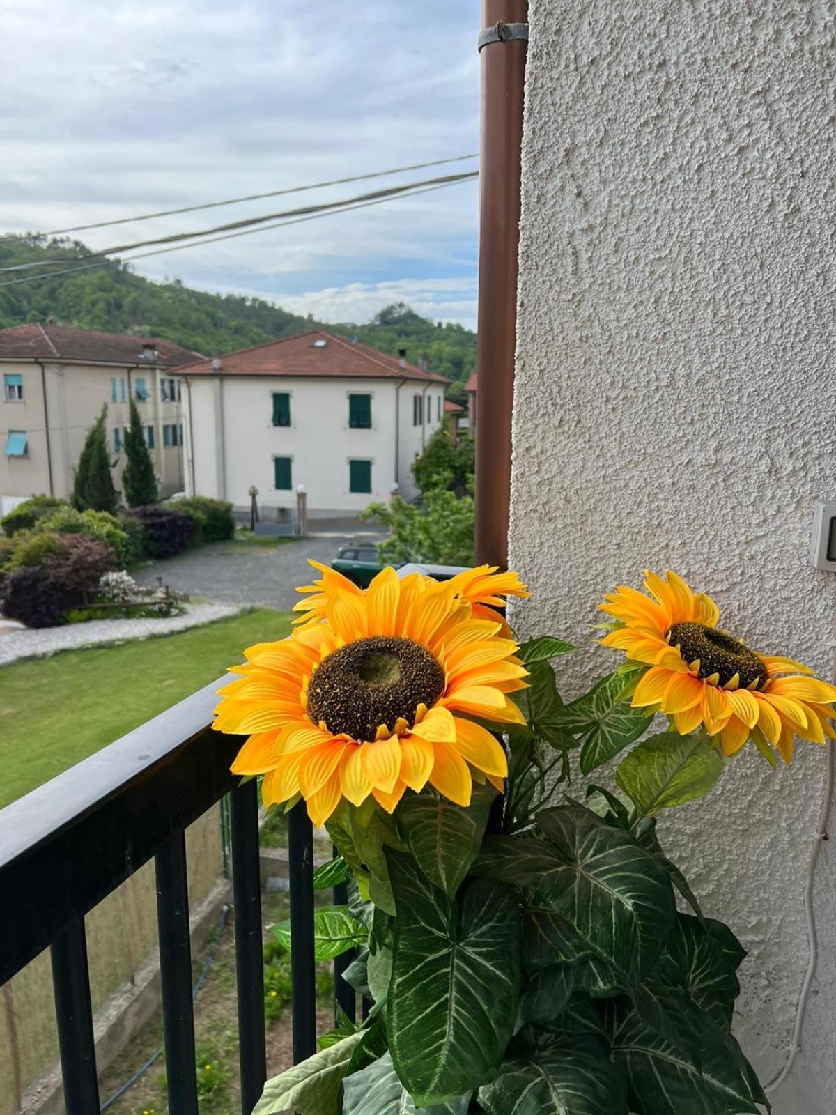 La Primula Vicinanza 5 Terre Villa Ricco del Golfo di Spezia Luaran gambar